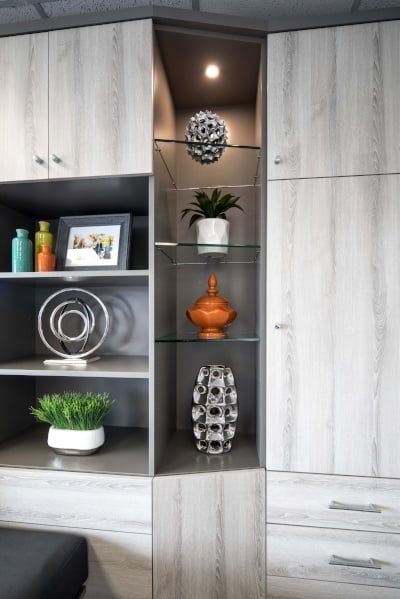 Custom Wall Bed Cabinetry by Valet Custom Cabinets & Closets