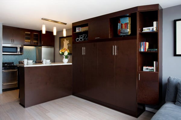 Vertical tilt wall bed in San Francisco studio