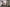 2015-01-27_Laundry Room_Vermont Maple
