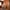 2015-04-23_Home Office with Wall Bed_Summer Flame_1
