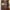 2017-02-07_Reach-In Closet_Italian Walnut (8)